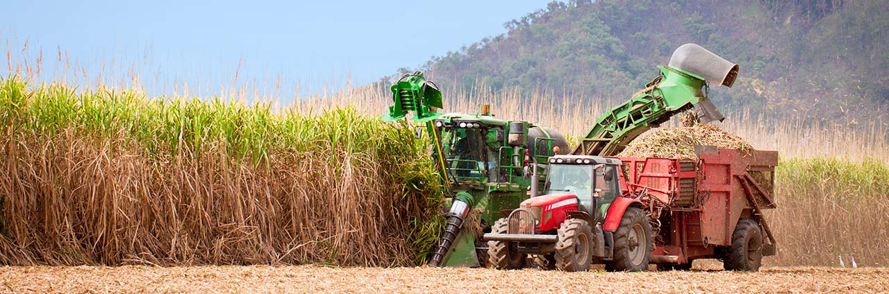 Farming washing solutions
