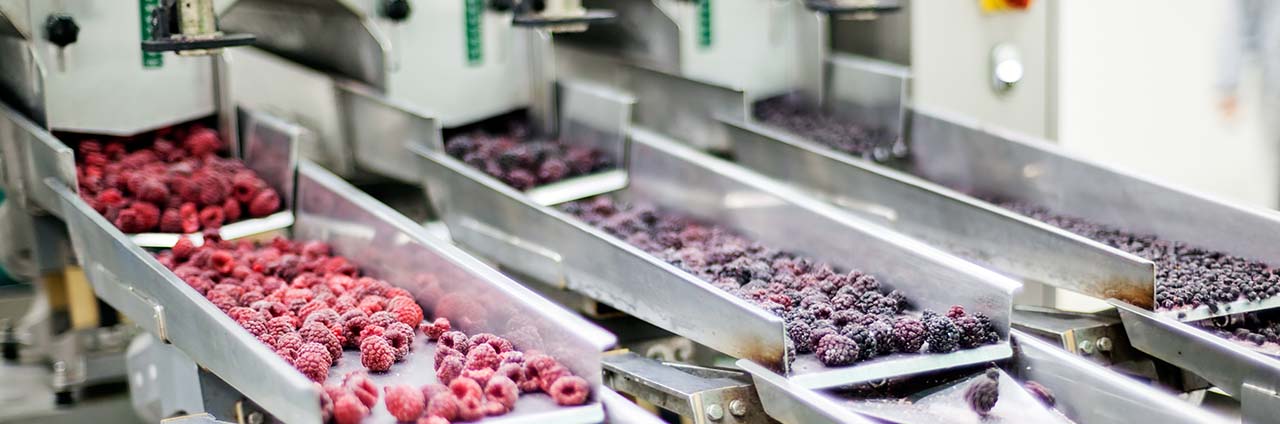 Food processing washing solutions